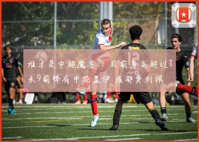 谁才是中超魔兽? 目前身高超过1米9前锋有申花盖伊 成都费利佩