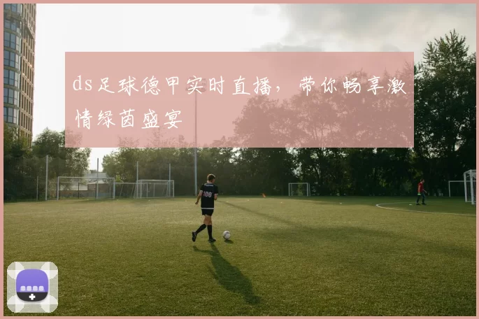 ds足球德甲实时直播，带你畅享激情绿茵盛宴