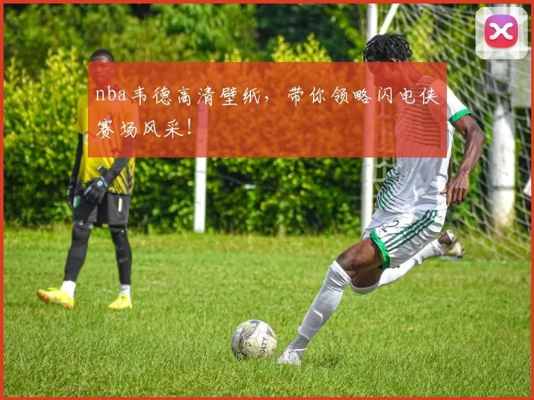 nba韦德高清壁纸，带你领略闪电侠赛场风采！