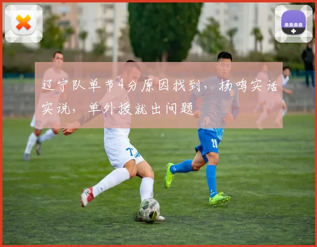 辽宁队单节4分原因找到,杨鸣实话实说,单外援就出问题