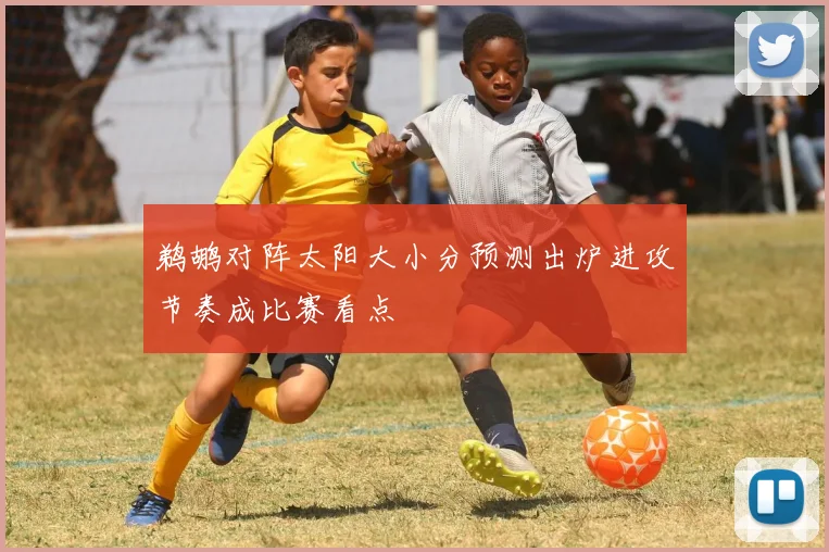 鹈鹕对阵太阳大小分预测出炉进攻节奏成比赛看点