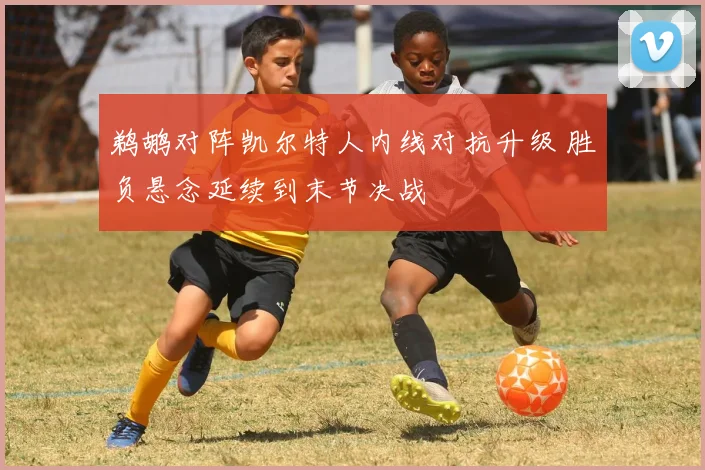 鹈鹕对阵凯尔特人内线对抗升级 胜负悬念延续到末节决战