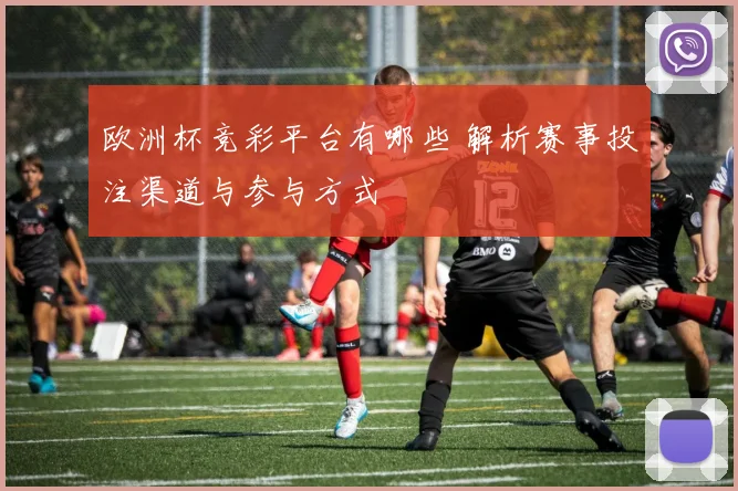 欧洲杯竞彩平台有哪些 解析赛事投注渠道与参与方式