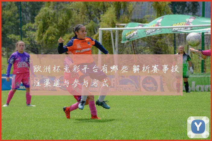 欧洲杯竞彩平台有哪些 解析赛事投注渠道与参与方式