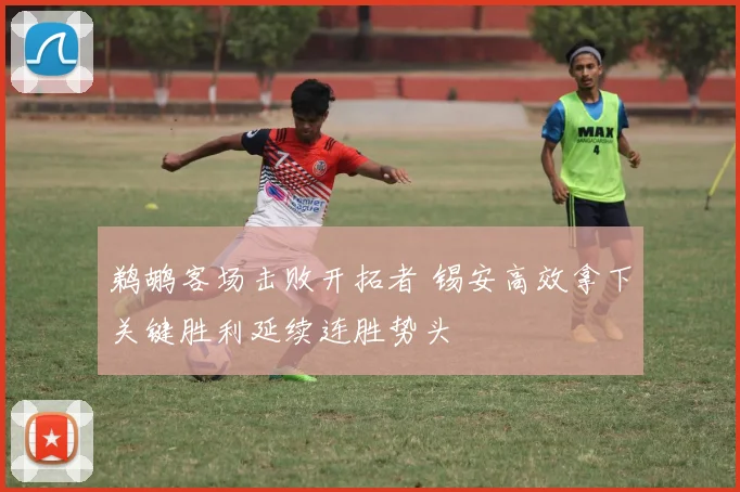 鹈鹕客场击败开拓者 锡安高效拿下关键胜利延续连胜势头