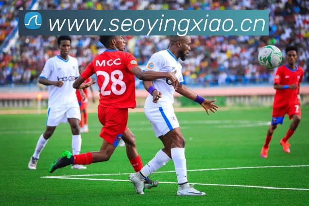 开云(中国)Kaiyun·官方网站 - 登录入口发展历程